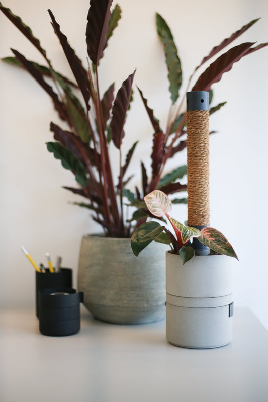 Warum Luftfeuchtigkeit im Sommer genauso wichtig ist wie im Winter – besonders im Büro oder Homeoffice 🧑💻🌞