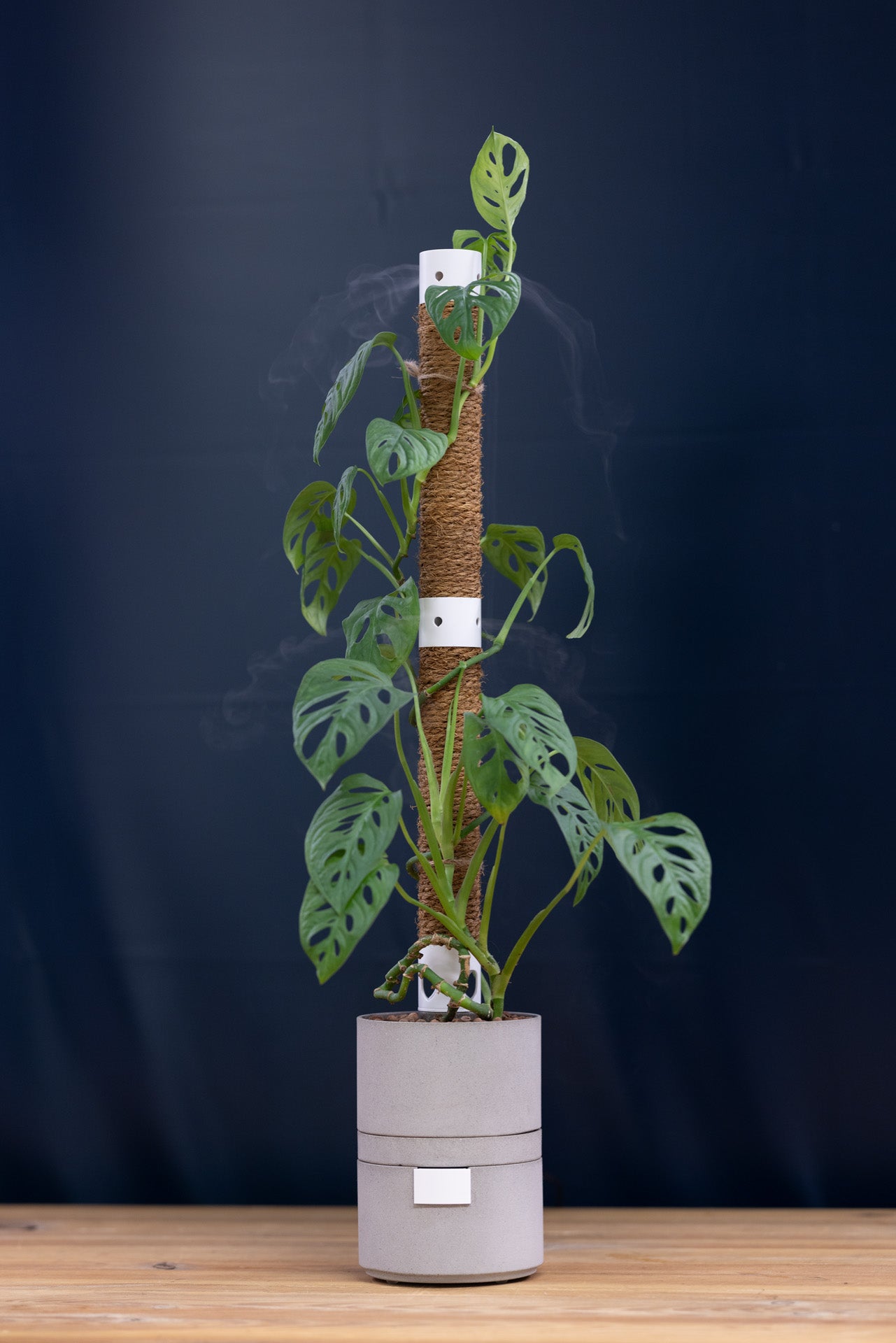 Humidipot