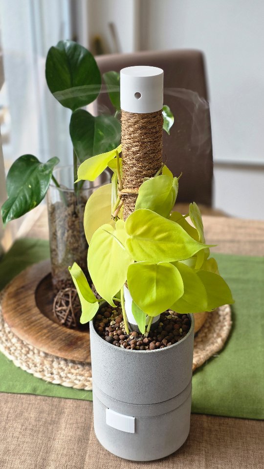 Humidipot Beton Blumentopf Luftbefeuchter Rankhilfe