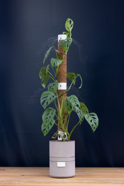 Humidipot